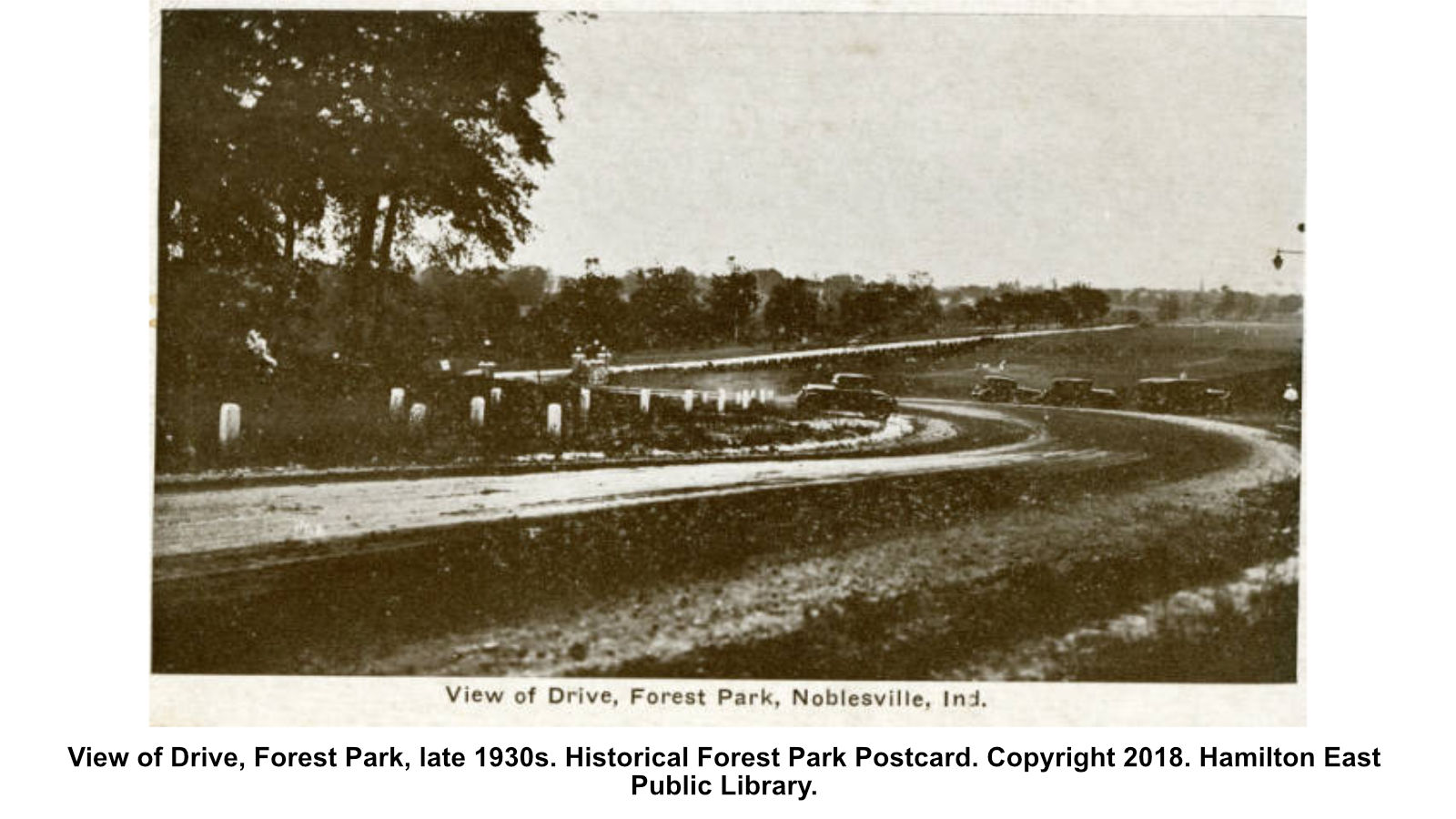 View of Drive, Forest Park, late 1930s. Historical Forest Park Postcard. Copyright 2018. Hamilton East Public Library.